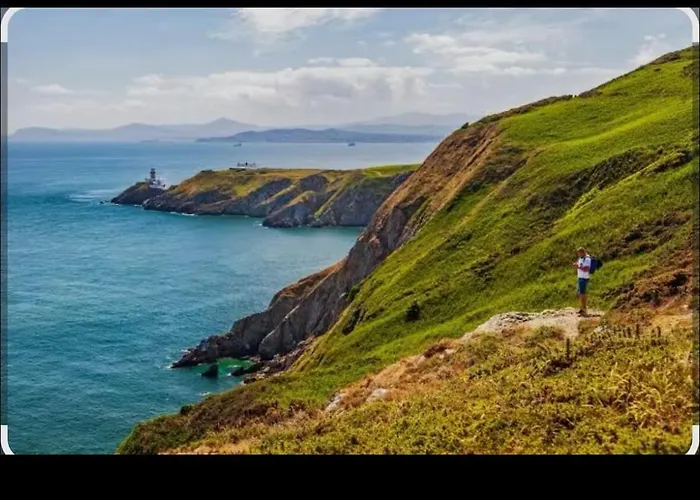 Apartment Modern Spacious Flat Near And Airport With Parking & Wifi