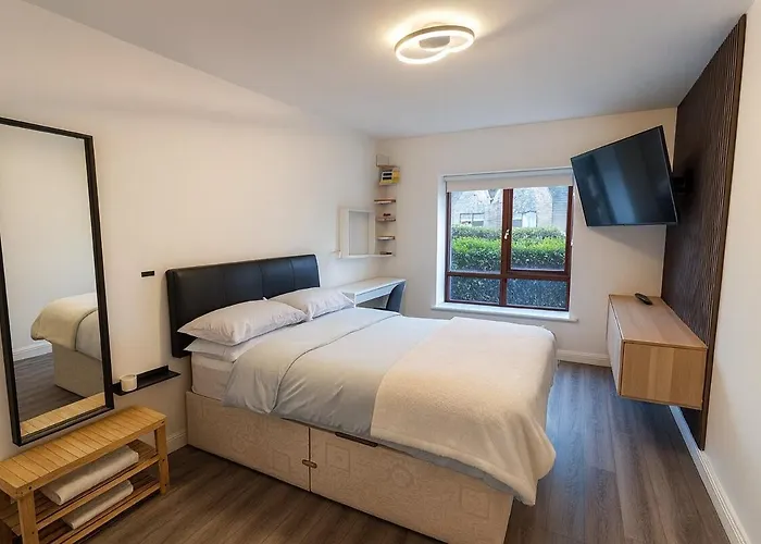 Modern Spacious Flat Near And Airport With Parking & Wifi Dublin